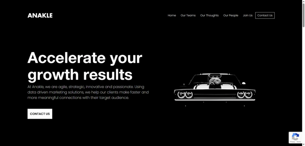 Anakle home page web design